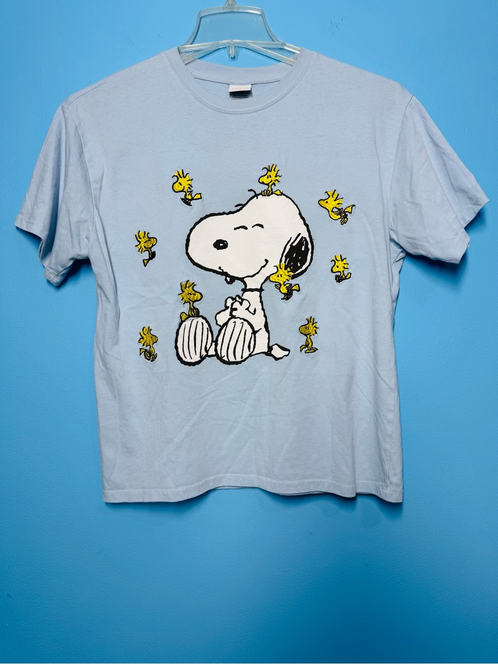 Peanuts Snoopy and
Woodstock Embroidered Light
Blue Graphic T-Shirt - Picture 7 of 8